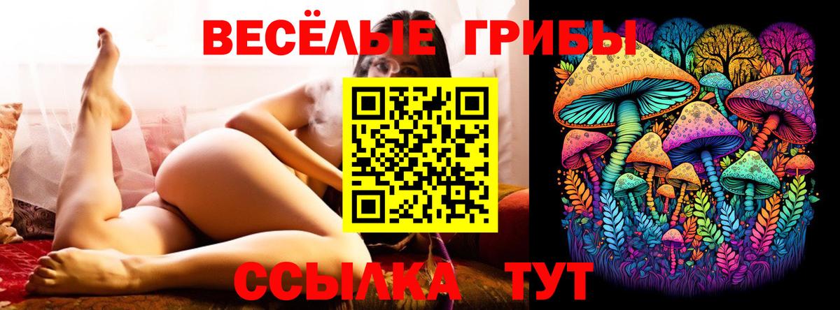 Пенза  Псилоцибиновые грибы прущие грибы  где можно купить наркотик  Вход с VPN 
